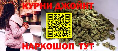 apvp Аша