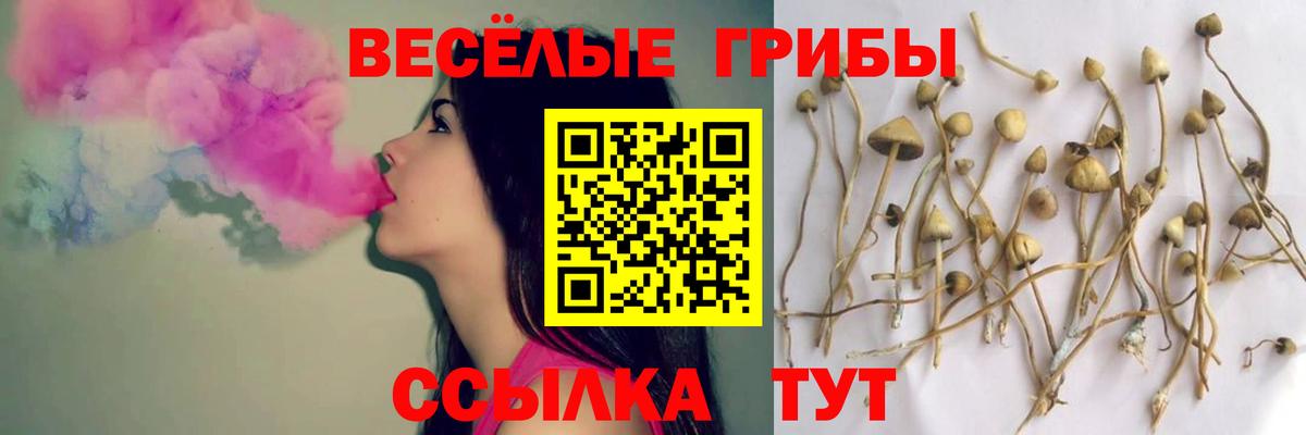 Псилоцибиновые грибы MAGIC MUSHROOMS Елец
